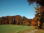 20151102_113132.jpg