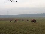 IMG_2283.JPG