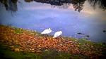 WP_20151107_019.JPG
