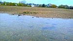 WP_20151107_038.JPG