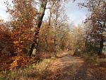 IMG_2292.JPG