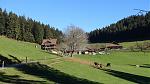 DSC02073.jpg