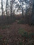 IMG_3298_.jpg