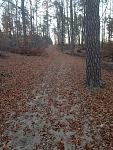 IMG_3300_.jpg