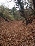 IMG_3306_.jpg