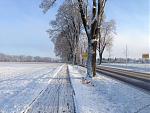 IMG_0364.JPG