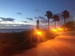 IMG_1667.jpg