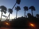 IMG_1673.jpg