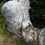 IMG_0676.JPG