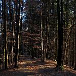 IMG_0717.JPG