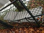 IMG_2334.JPG