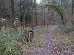 IMG-20151129-00468k.jpg