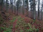IMG-20151129-00485k.jpg