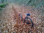 IMG-20151129-00487k.jpg