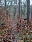 IMG-20151129-00494k.jpg