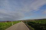 DSC04576k.jpg