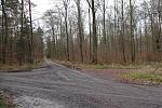 DSC04598k.jpg