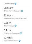 Bodenkontaktzeiten etc dkf - extensiver DL.jpg