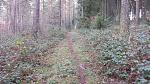 trail.jpg