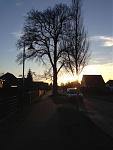 IMG_2397.JPG