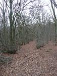 8b.jpg