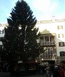 IMG_20151224_140255.jpg