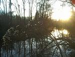 20151224_153311.jpg