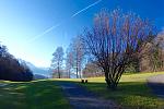 DSC02126.jpg