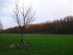 P1010741a.jpg