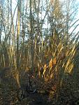 20151229_152501.jpg