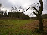 P1010821a.jpg