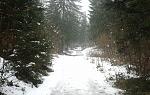 IMG_20160103_140112.jpg