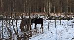 IMG_20160103_122436.jpg