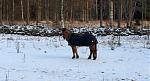 IMG_20160103_122619.jpg