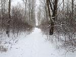 IMG_2466.JPG