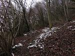 IMG_1165.JPG
