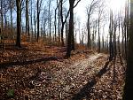 P1010866a.jpg
