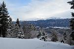 IMG_1179.JPG