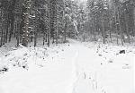 IMG_1187.JPG