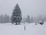 IMG_0940.jpg