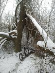 20160116_154809.jpg