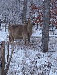 IMG_2506.JPG