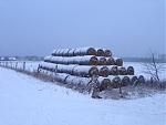 IMG_2507.JPG