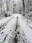 IMG_4101.JPG