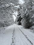 IMG_4103.JPG