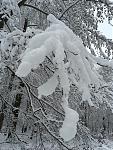 IMG_4104.JPG
