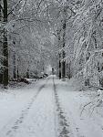 IMG_4105.JPG