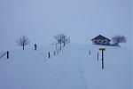 DSC02129.jpg