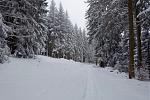 DSC02139.jpg
