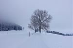 DSC02141 (1).jpg
